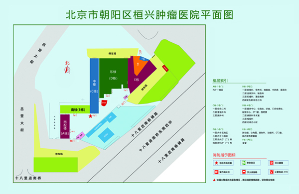 在线操骚屄北京市朝阳区桓兴肿瘤医院平面图